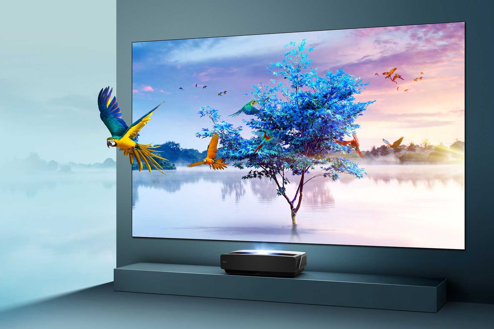 Какие хорошие телевизоры в 2023 году. Телевизор Hisense 55 дюймов. Hisense Laser TV 100l5f. Телевизор Hisense 55 дюймов 2022. Телевизор Хайсенс 65 дюймов.
