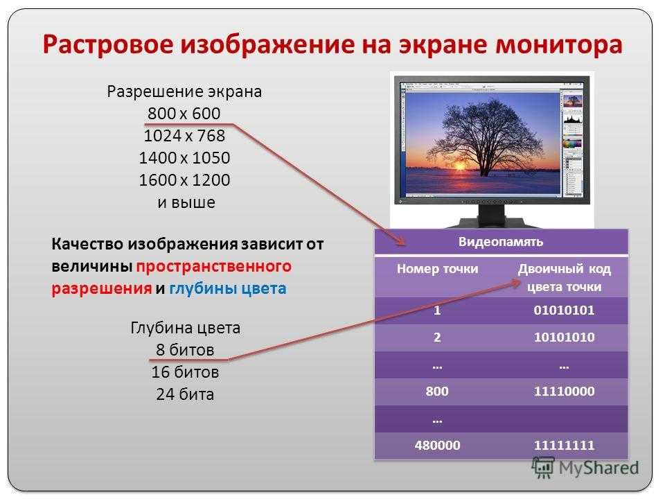 Настройки монитора asus