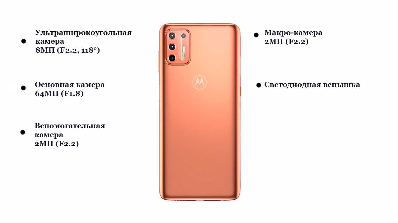 Motorola moto g9 plus против moto g8 plus: разница между двумя | итигик